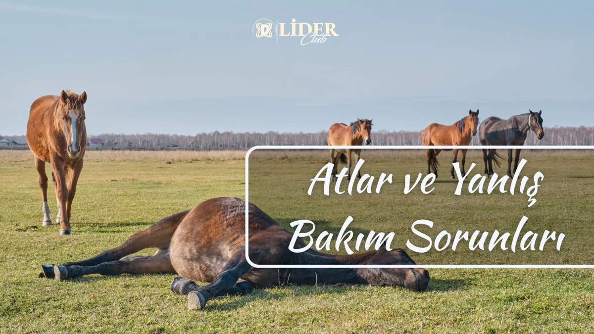 Atlar ve Yanlış Bakım Kaynaklı Sorunlar