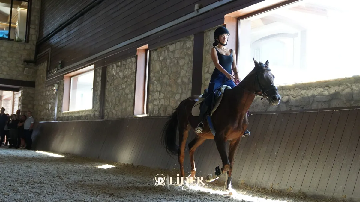 Binicilik Turu Deneyimi: İlk Kez At Sırtına Geçenler Ne Beklemeli?