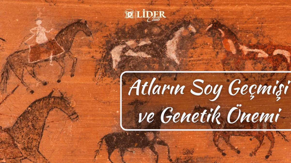 Atların Soy Geçmişi ve Genetik Önemi