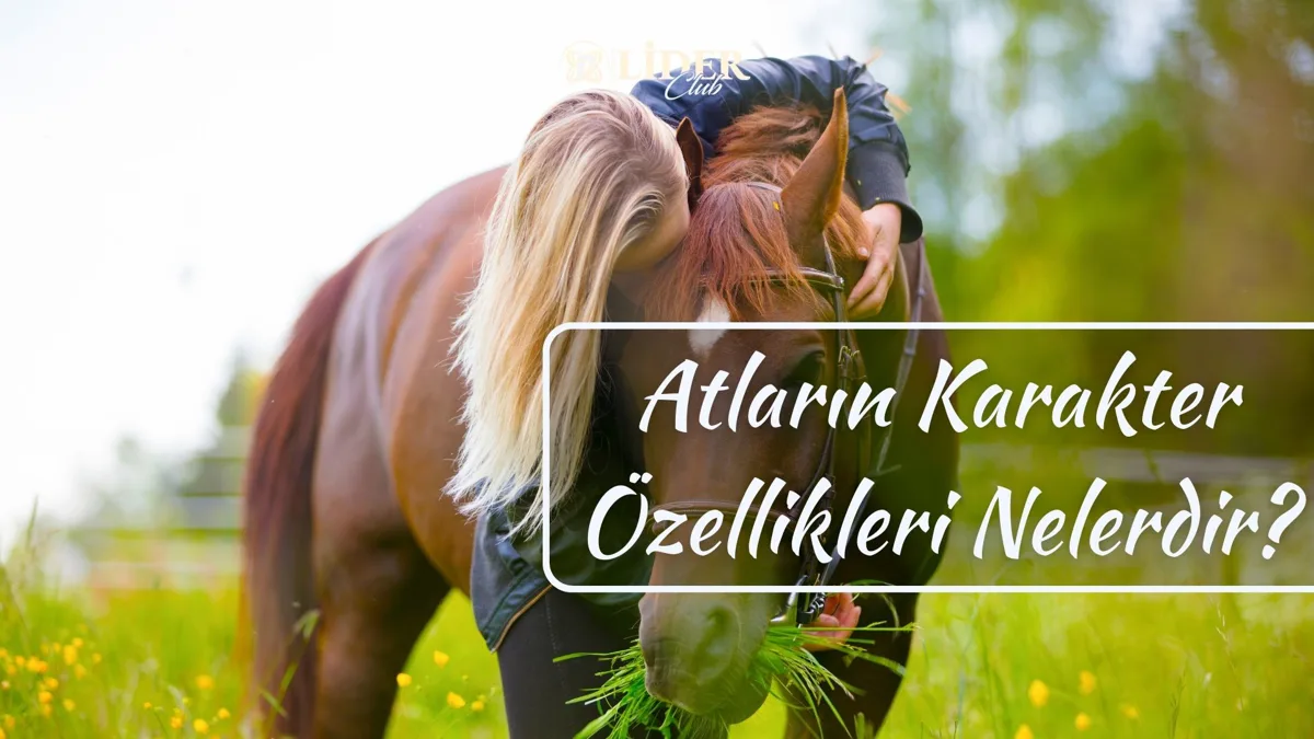 Atların Karakter Özellikleri Nelerdir?