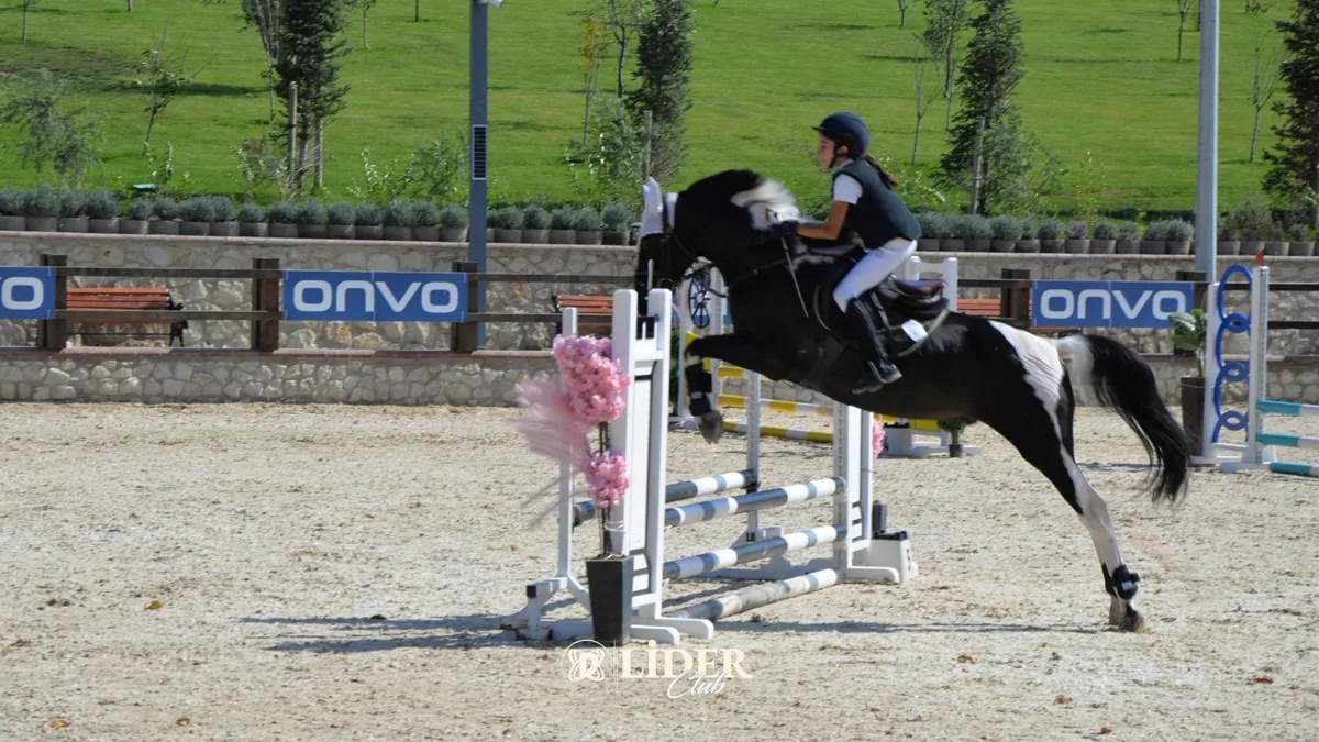 Atlı Binicilik: Başlangıçtan Uzmanlığa Binicilik Derslerinin Aşamaları