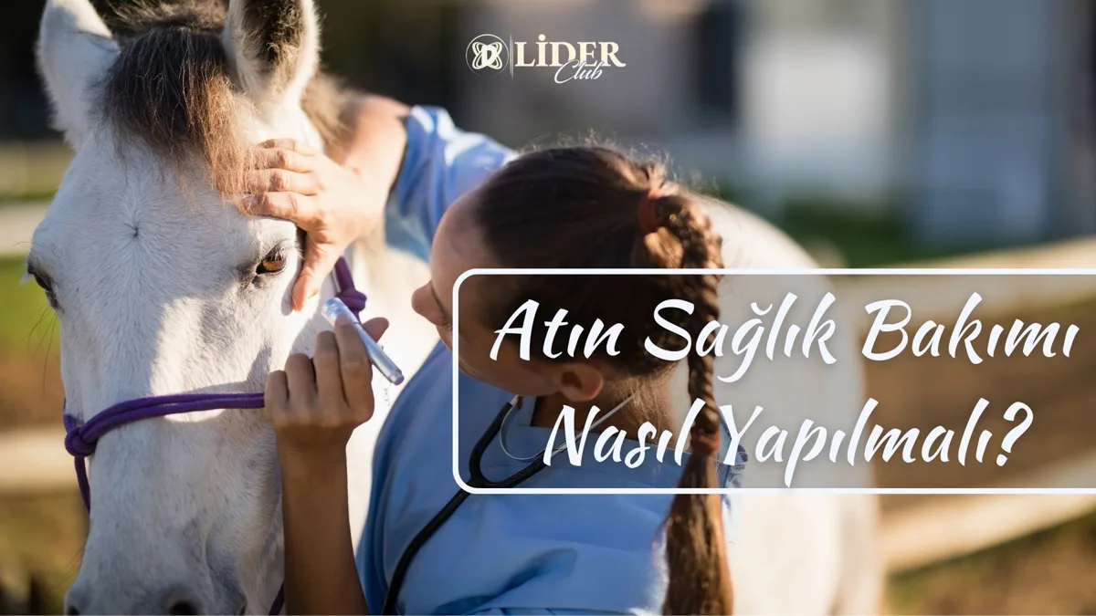 Atın Sağlık Bakımı Nasıl Yapılmalı?