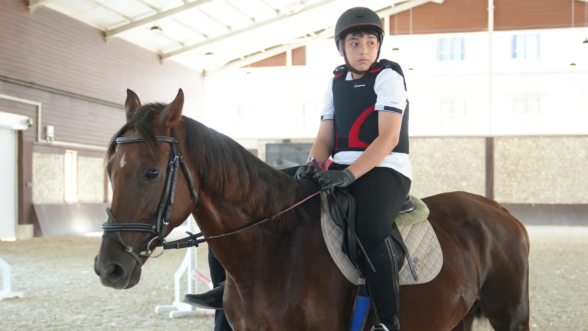 Çatalca At Çiftliği Fiyatları 2025: Kahvaltı, Ders ve Gezinti Ücretleri