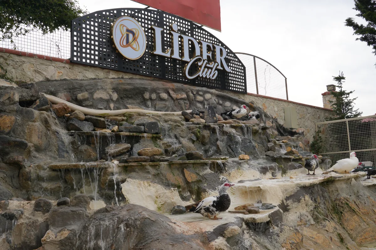 Lider Club Hayvanat Bahçesi: Doğayla İç İçe Unutulmaz Bir Deneyim