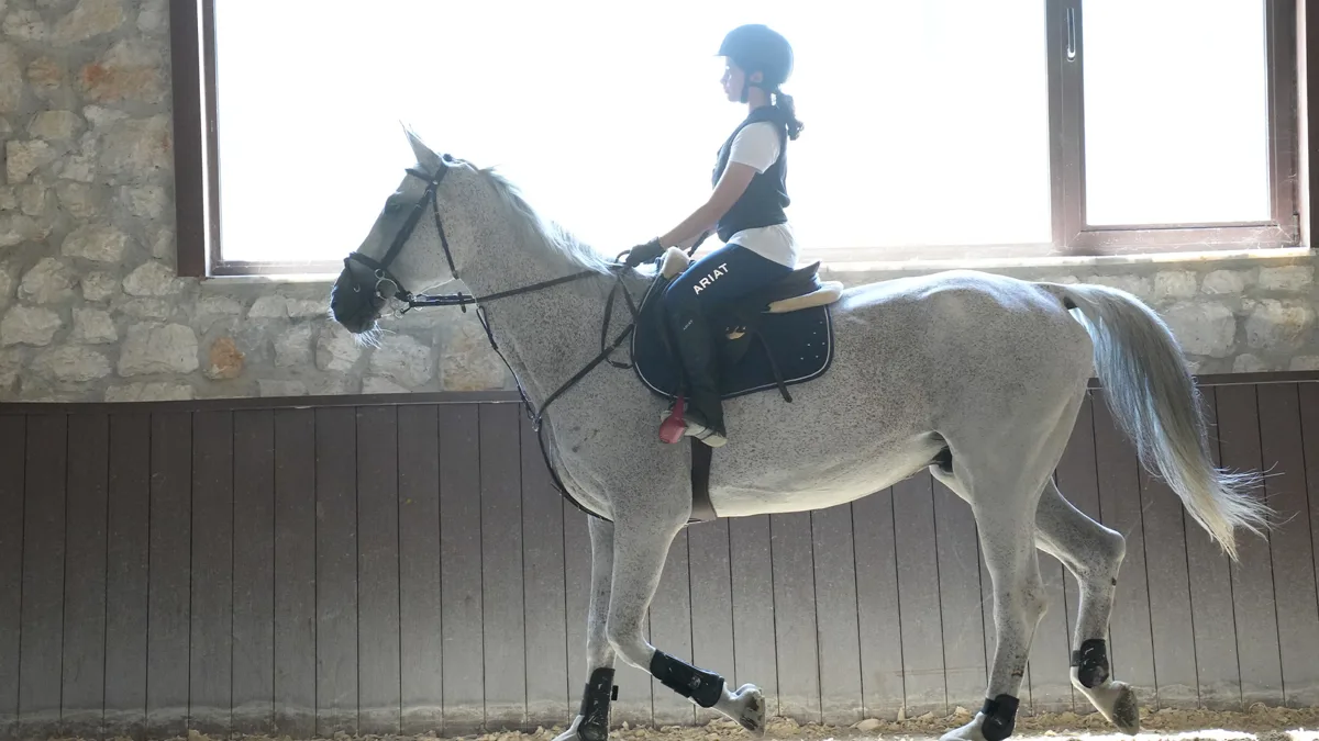 Çocuklar İçin Binicilik Eğitimi Nerede Alınır? Çatalca Magical Club Rehberi