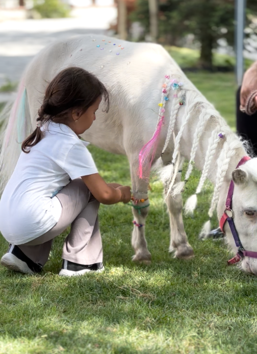 Hafta Sonu Mini Tatil Planı: Lider Club + Çatalca Çevre Aktiviteleri