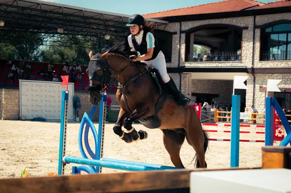 6-8 Kasım 2026 CSI1* İstanbul Binicilik Yarışmaları | Magical Club