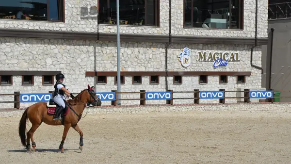 magical club - 12