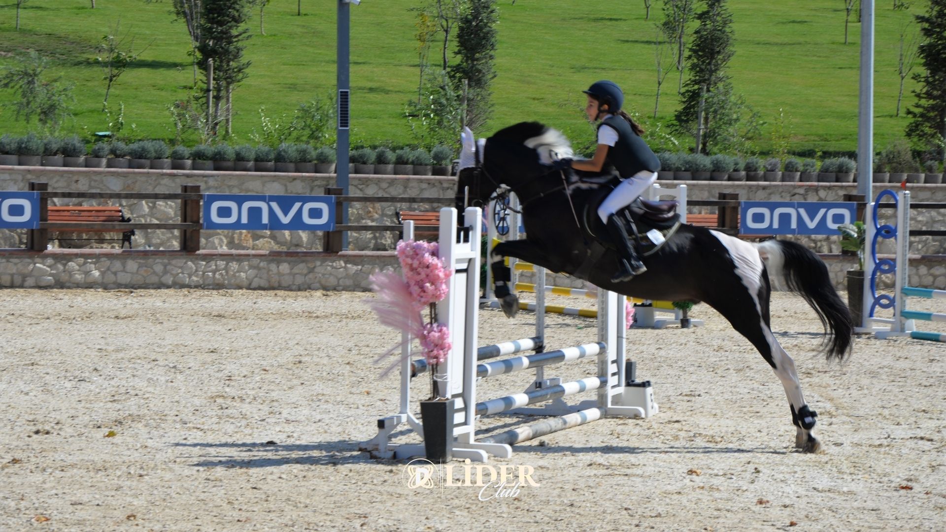 Atlı Binicilik: Başlangıçtan Uzmanlığa Binicilik Derslerinin Aşamaları
